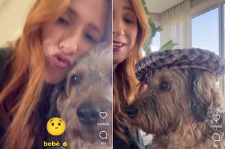 Internautas apostaram no nome "Bernardo"