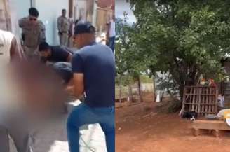 Ataques de pitbull na Bahia deixam mais de 30 aves mortas e três pessoas feridas