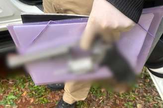 Adolescente usou arma calibre .357 para atirar contra os avós