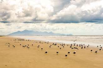 A combinação de ambientes da Ilha de Superagui abriga elevada biodiversidade e presta serviços ecossistêmicos importantes – Chostakovis/Wikimedia Commons