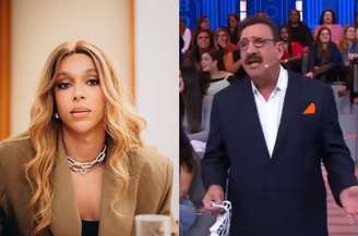 Ratinho fez comentários transfóbicos contra a deputada federal Erika Hilton 