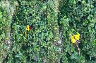 Caso ocorreu na Ilha Porchat, em São Vicente (SP)