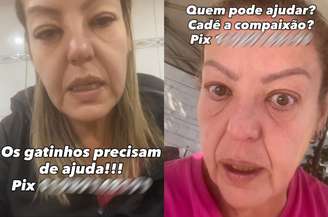 Patrícia Louana Masier, dona da ONG Perfeitos e Especiais, que foi presa pela Polícia Civil