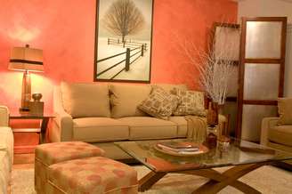 As almofadas estão entre os itens mais fundamentais da decoração e podem inovar sua sala sem muitos gastos