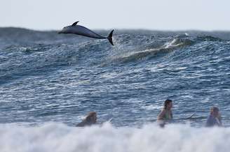 <p>Primeira etapa do Mundial de Surfe 2015 está sendo disputada na Austrália</p>