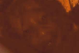 Professor britânica afirma ter registrada o rosto de um demônio em uma foto tirada na casa de seus pais na Jamaica