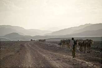 Guerra por área na fronteira entre Etiópia e Eritreia matou pelo menos 70 mil pessoas entre 1998 e 2000