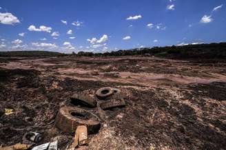 Brumadinho tem 99 mortos; 259 pessoas seguem desaparecidas