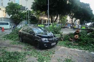 Ventos fortes derrubam uma árvore danificando um veículo na Candelária, centro do Rio de Janeiro