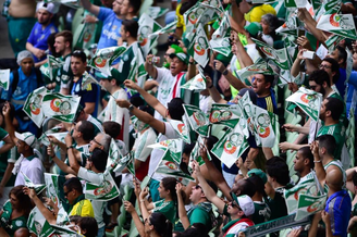 Palmeiras já vendeu 11 mil ingressos para jogo contra a Chape (Foto: Fernando Dantas/Gazeta Press)