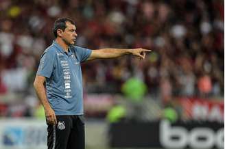 Carille orienta os jogadores do Santos contra o Flamengo