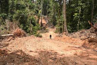 Área desmatada na Amazônia, no Pará