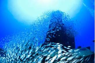 (Fonte: Getty Images)