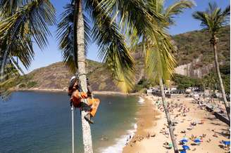 A poda no alto das árvores evita a queda de galhos e de cocos. Equipamento e trabalho especializado mudam profissão de gari