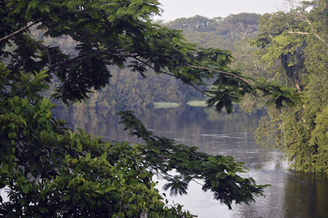 Muitas áreas protegidas conhecidas mundialmente, como o Parque Nacional de Salonga, na República Democrática do Congo, foram instituídas com a expulsão e deslocamento de povos indígenas de seus lares em nome da proteção de áreas selvagens. Foto WWF, CC BY