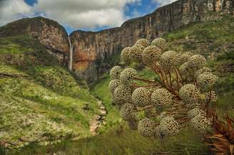 Cachoeira do Tabuleiro 