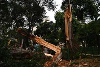 Árvore de grande porte cai no Largo do Arouche devido ao forte temporal que atingiu a região central de São Paulo, na tarde desta quarta-feira (12).