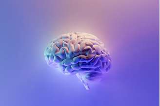 up na saúde do cérebro