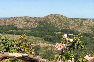 Domo de Araguainha – Reprodução