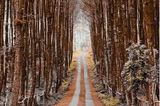 Sexta-feira 13 é o dia do azar