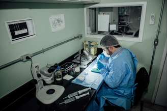 Mestres, doutores e pós-doutores seriam beneficiados.