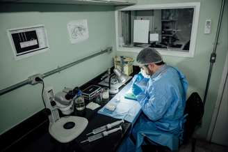 Projeto quer garantir que pesquisadores tenham direito à licença paternidade e maternidade, pensão por morte, entre outros.