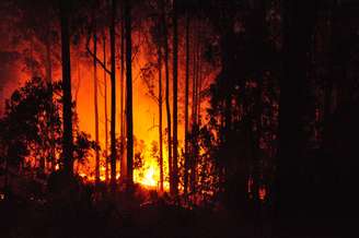 Incêndios em Portugal