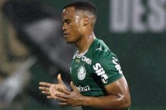 Foto: Cesar Greco/ Palmeiras