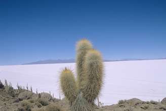 <p>O  é o maior deserto de sal do mundo</p>
