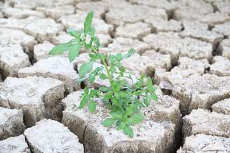 Intenção do projeto é mitigar perdas agrícolas provocadas pela seca