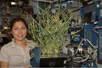 Astronauta segura plantas na Estação Espacial Internacional