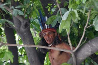 <p>Líder indígena sobe em árvore para evitar ser expulso do local</p>
