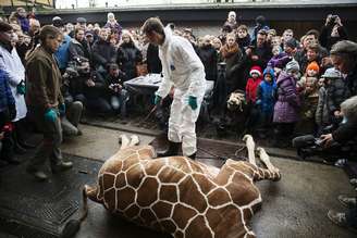 <p>O zoológico de Copenhagen disse que não poderia deixar a girafa crescer para evitar a consanguinidade entre exemplares desta espécie</p>