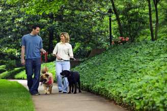 <p>Além de fazer mais exercícios, donos de cachorro interagem mais com vizinhos</p>