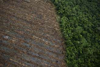 <p>Vista aérea de área desmatada da floresta tropical de Sumatra, em Merang, Indonésia, em 10 de dezembro de 2010</p>