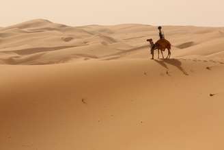 Camelo Google no Deserto e Oásis de Liwa em Abu Dhabi, nos Emirados Árabes Unidos