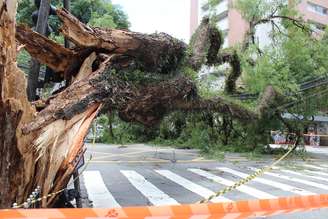 <p>Entre as árvores que caíram estavam uma localizada no cruzamento das ruas Cubatão e Eça de Queirós, na Vila Mariana (zona sul de SP); queda afetou rede elétrica do bairro</p>