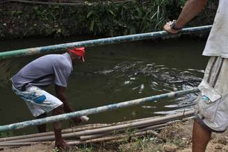 <p>Moradores se arriscam para pegar água de bica no Canal das Taxas, onde vivem jacarés</p>