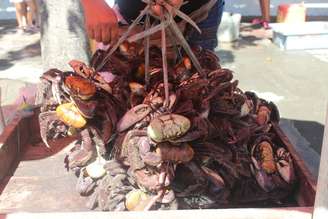 Mulher vende caranguejo - muito consumido na região - em sua barraquinha