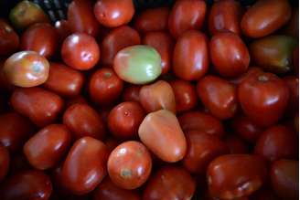 O tomate foi um dos produtos que mais encareceram em Janeiro, segundo o Dieese