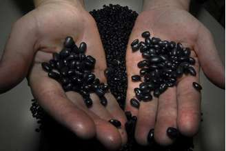 O feijão carioca, por exemplo, teve aumento de 160,25% em 12 meses, sendo 136,57% apenas neste ano