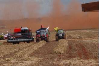 Conab prevê aumento de 15,3% na safra de grãos 2016/2017