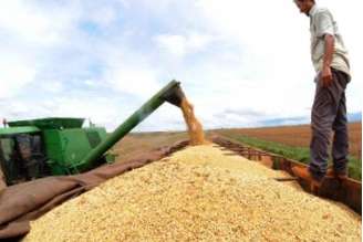 A projeção de crescimento da soja é 7,3% na produção, podendo atingir 102,45 milhões de toneladas, diz o superintendente de Informações do Agronegócio da Conab, Aroldo de Oliveira Netos