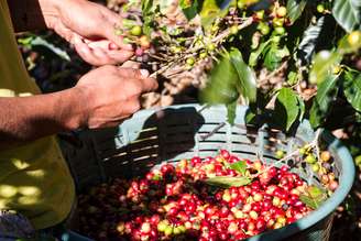 Venda externa do café solúvel cresceu 8% em 2016.