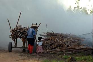 Pesquisa mostra que o número de trabalhadores precoces corresponde a 5% da população que tem entre 5 e 17 anos no Brasil     