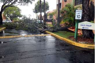 Miami - Árvore caída na pista devido aos fortes ventos das primeiras chuvas ligadas ao Furacão Irma em Miami