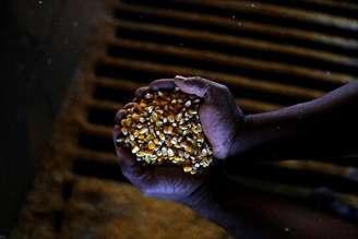Pessoa segura grãos se milho em fazenda de Mato Grosso
26/06/2017 REUTERS/Nacho Doce