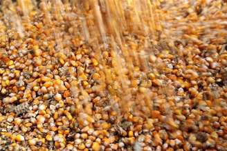 Grãos de milho em galpão de armazenamento
09/04/2017
REUTERS/Stringer