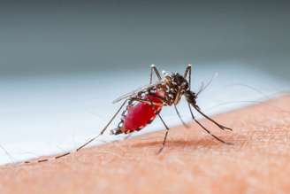 A malária é uma doença infecciosa febril aguda causada por protozoários transmitidos pela fêmea infectada do mosquito Anopheles
