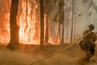 Bombeiro combate chamas de incêndio na Califórnia 06/08/2018 Cortesia do USFS/Parque Nacional Yosemite/via Reuters